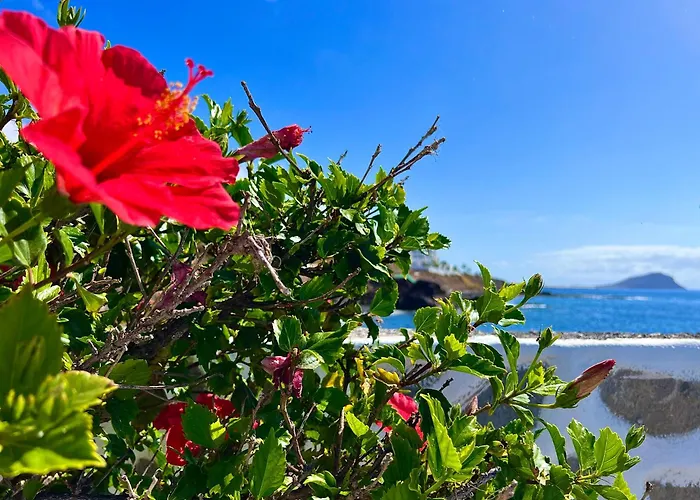 Appartement Paz Ocean View, Air Condition, Wifi, Heated Pool *