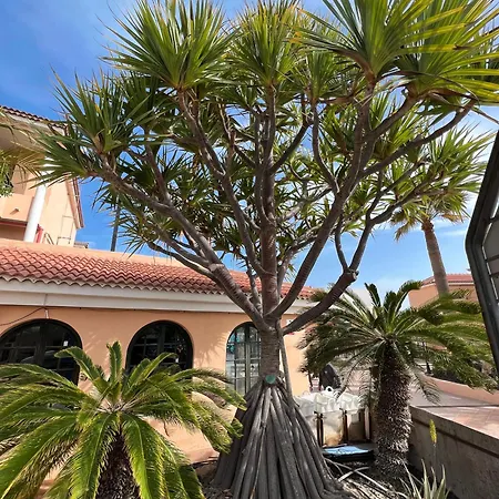 Paz Ocean View, Air Condition, Wifi, Heated Pool Appartamento