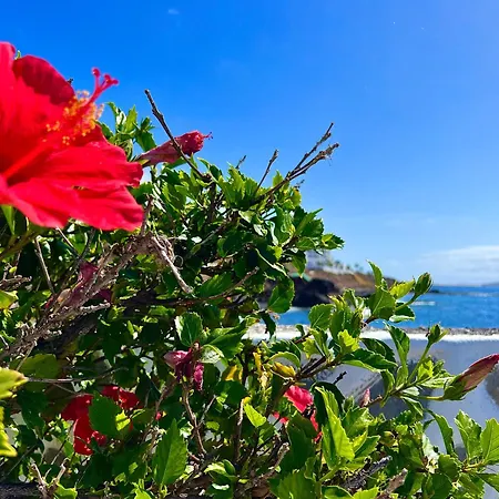 Appartamento Paz Ocean View, Air Condition, Wifi, Heated Pool *