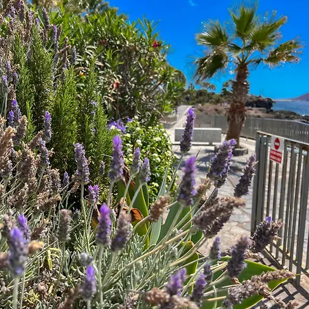 Paz Ocean View, Air Condition, Wifi, Heated Pool Appartamento