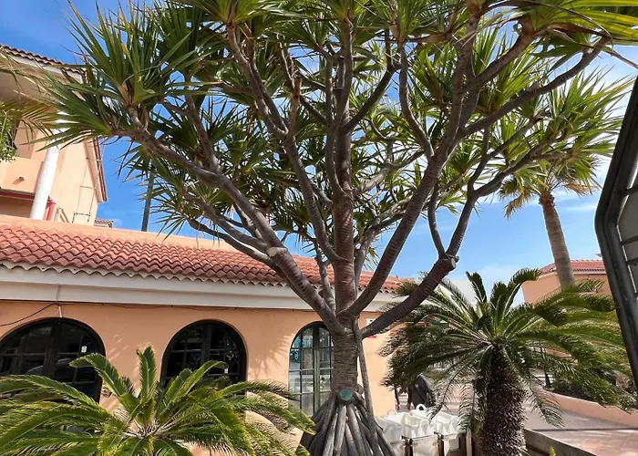 Paz Ocean View, Air Condition, Wifi, Heated Pool Apartament