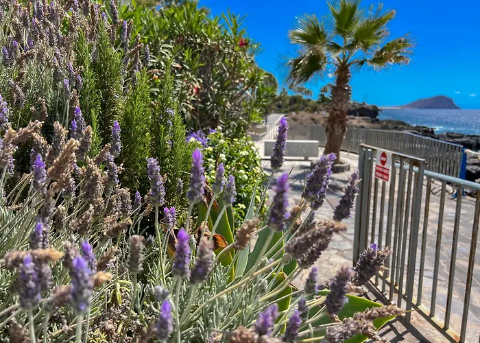 Paz Ocean View, Air Condition, Wifi, Heated Pool Apartament